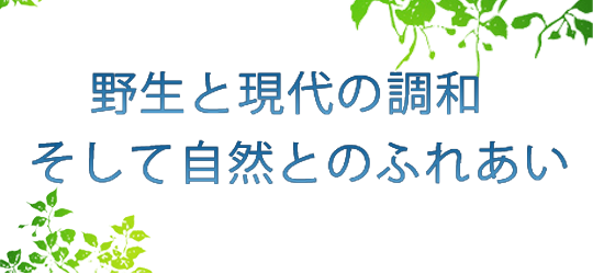 野生と現代の調和、そして自然とのふれあい