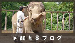 飼育員ブログ