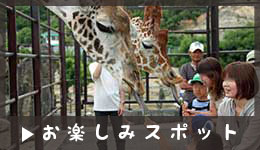 お楽しみスポット